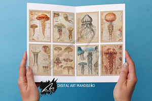 Jellyfish Anatomy Junk Journal Pages