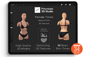 Procreate 3d Model - Torso Female