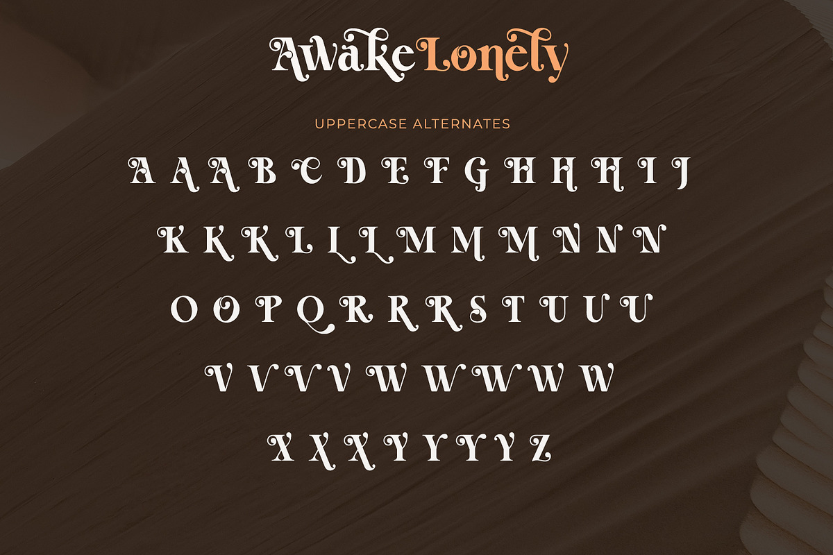 Awake Lonely - Swirl Serif Font, a Serif Font by Airotype (Photo 12 of 14)