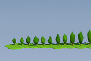 Trees and Bushes Pack - 02, an Environmental 3D Model by Saintpix (Thumbnail 22 of 26)
