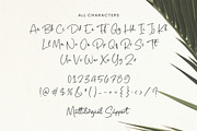 Palms Delight Font, a Script Font by Timurtype (Thumbnail 6 of 7)
