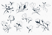 Hand Sketched Magnolia, a Decorative Illustration by Solana (Thumbnail 8 of 10)