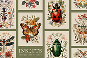 Insects | Vintage posters, a Graphic by katieromanoff_art (Thumbnail 1 of 12)