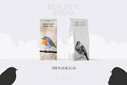 Realistic Robins Illustrations Set, an Illustration by White Lane Studio (Thumbnail 7 of 8)