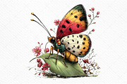 Whimsical Spring Butterfly Clipart, an Illustration by Craft Nest (Thumbnail 11 of 11)