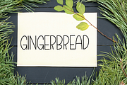 Birthday Reindeer, a Sans Serif Font by FreshTypeINK (Thumbnail 8 of 8)