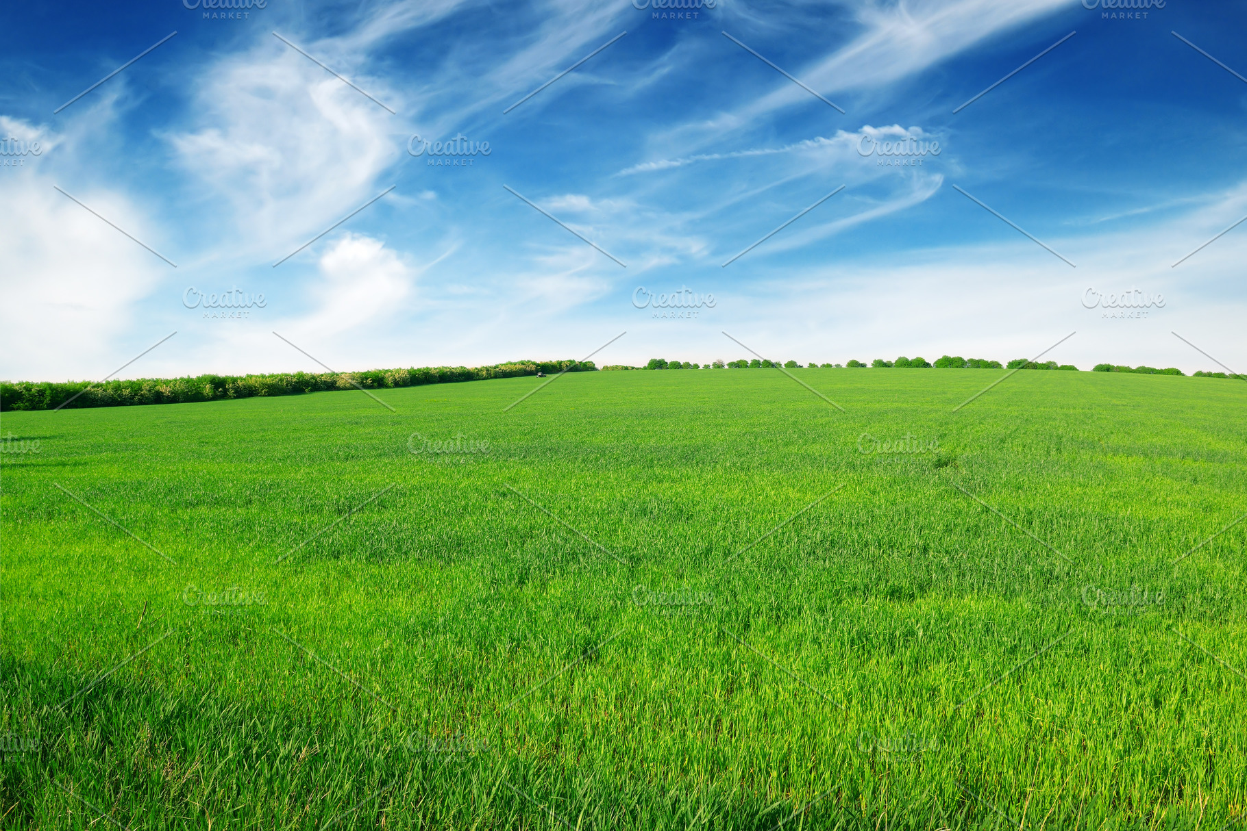 field and sky, a Nature Photo by Serg64