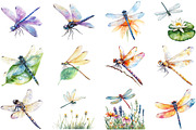 Watercolor Dragonfly Clipart, an Illustration by Pixels.Craft (Thumbnail 4 of 5)