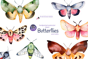 Butterflies And Moths