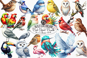 Watercolor Bird Sublimation, an Illustration by Designking (Thumbnail 1 of 4)