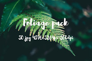 Foliage pack, a Templates & Theme by ApertureVintage (Thumbnail 12 of 21)