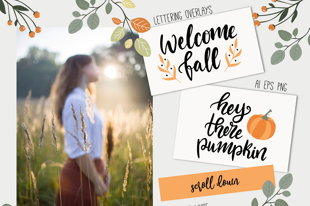 Autumn Atmosphere set, an Animal Illustration by Cozy pattern shop (Photo 4 of 7)