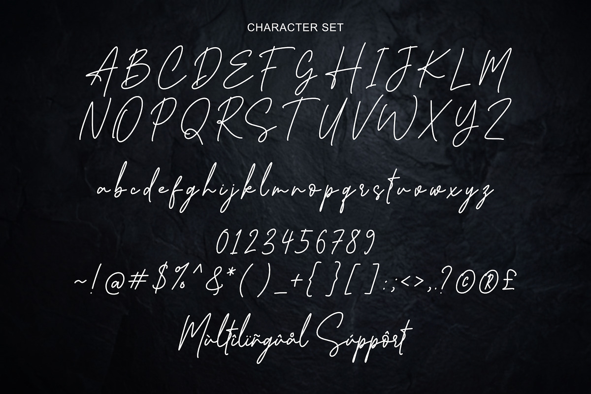 Amsahoney - Monoline Stylish Script, a Script Font by Sealoung (Photo 10 of 11)