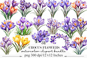 Watercolor Crocus Flowers Clipart, an Illustration by Designking (Thumbnail 1 of 5)