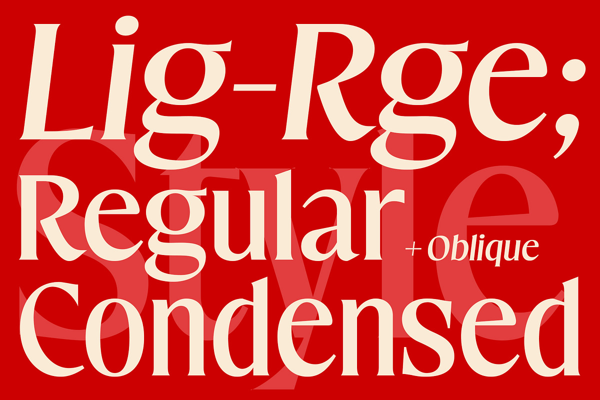 Mavitya, a Serif Font by Dora Typefoundry (Photo 2 of 12)