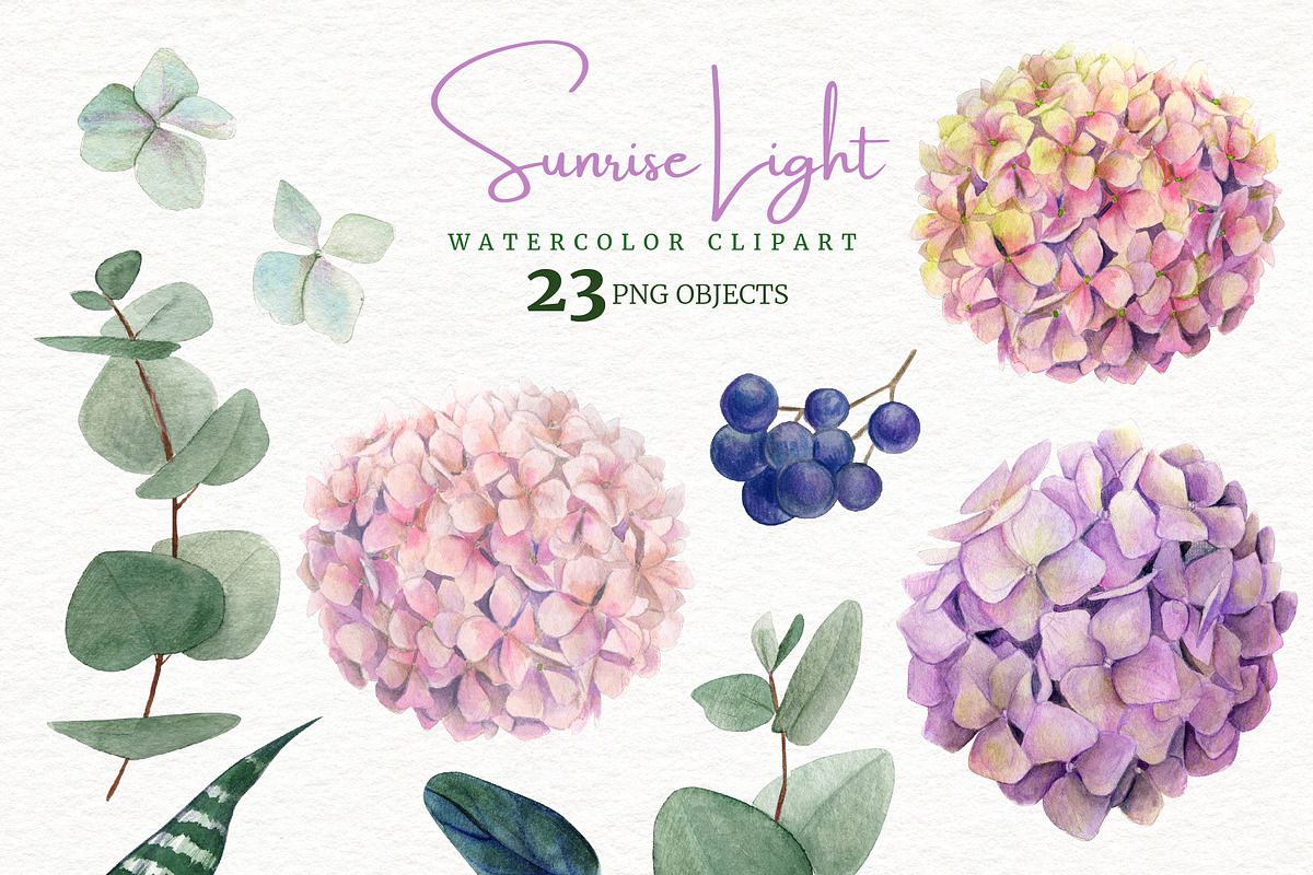Watercolor Floral Collection, an Object Graphic by JSolomatina (Photo 2 of 5)