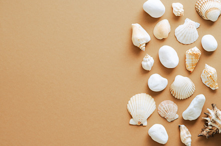 Frame made of seashells, a Holiday Photo by photoguns