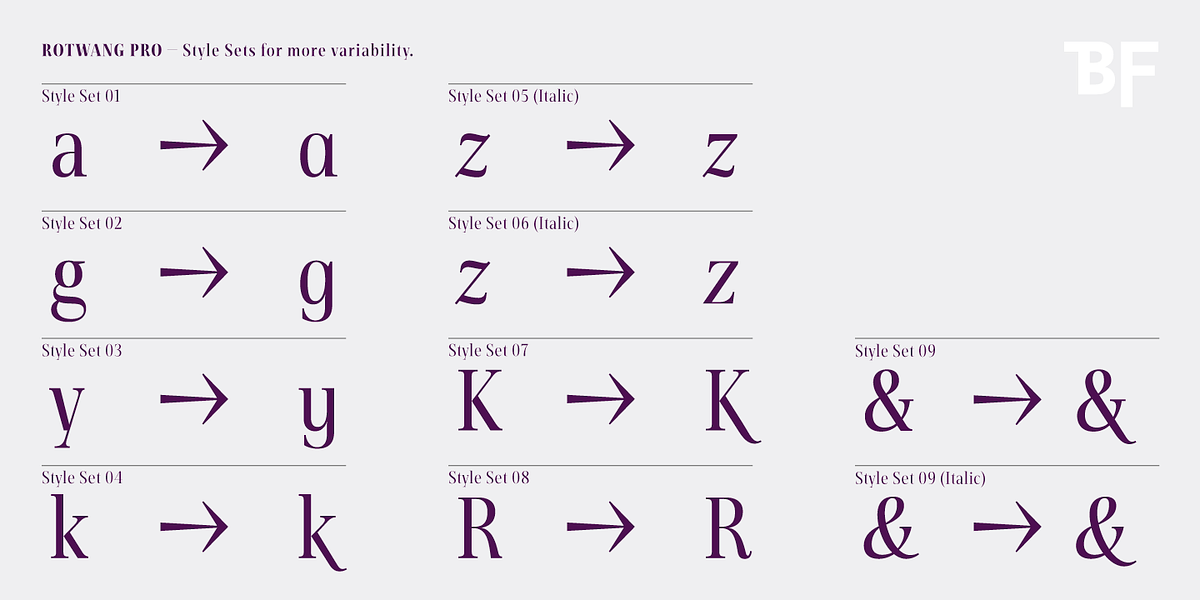BF Rotwang Pro, a Serif Font by BrassFonts (Photo 8 of 15)