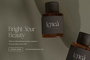 Carolan Elegant Display Serif, a Serif Font by Creatype Studio (Thumbnail 4 of 10)