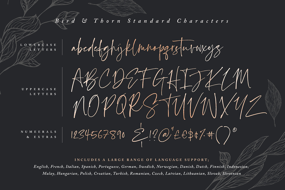 Bird & Thorn preview 8