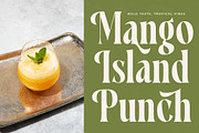 Qastife Elegant Display Serif, a Serif Font by timelesstype.co (Thumbnail 6 of 20)