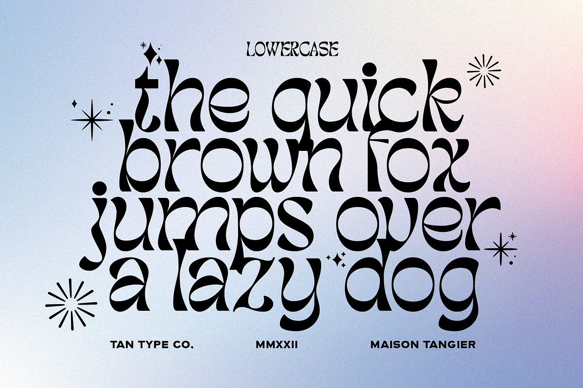 TAN - MAISON TANGIER, a Serif Font by TanType (Photo 9 of 9)