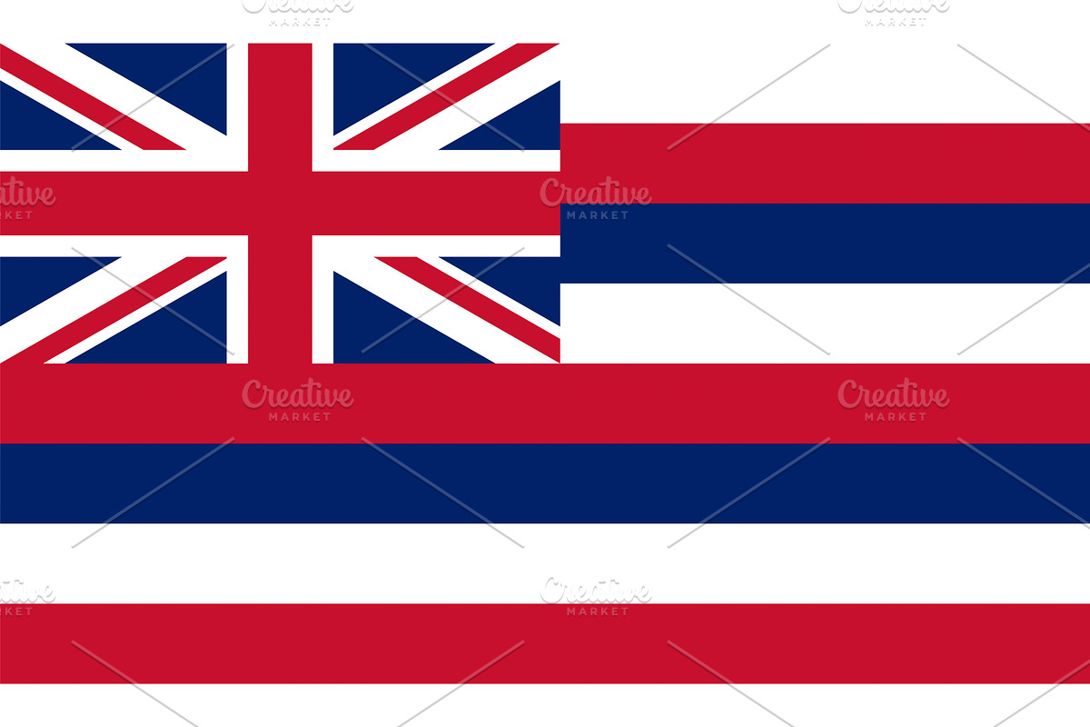 Hawai i US State Vector Illustration, an Illustration by megastocker