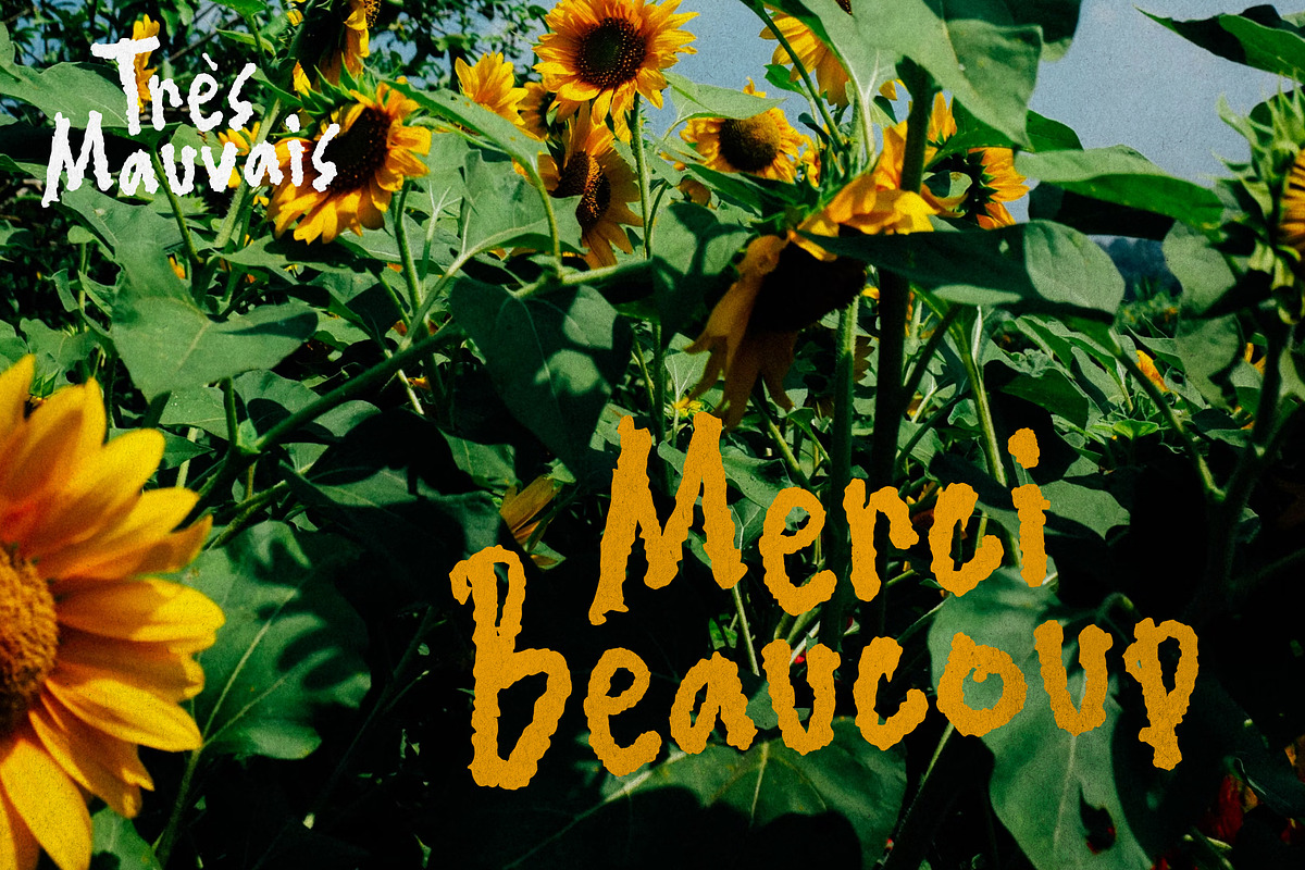 Très Mauvais – Jittery Handwritten, a Handwritten Font by VASTARD STUDIO (Photo 12 of 12)