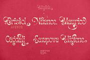 Migaela, a Font by nurrontype (Thumbnail 2 of 15)