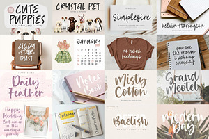 Handwriting Font Bundle!