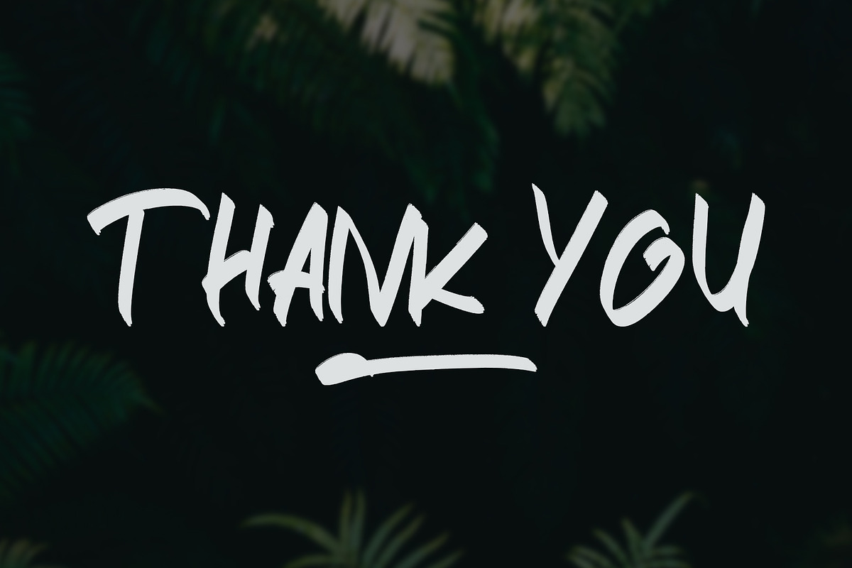 STRIKEOUT || Brush Font, a Script Font by Raseuki (Photo 12 of 13)