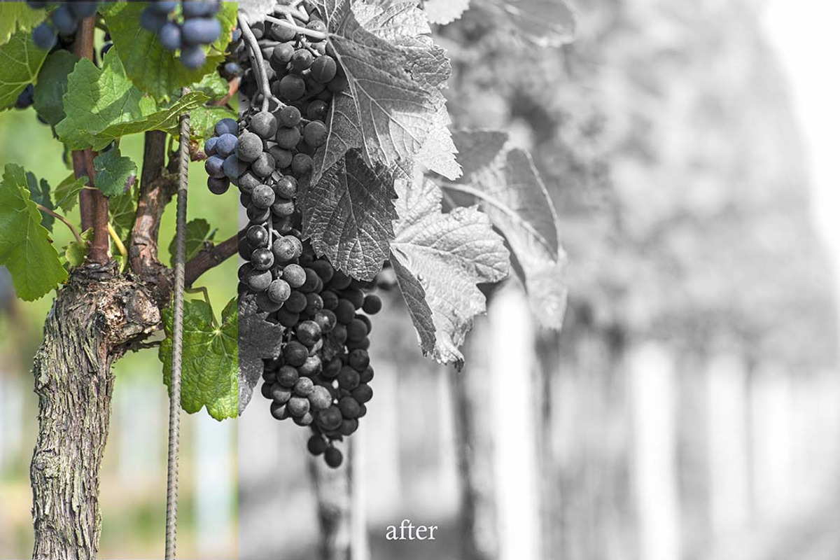 10 Black & White Landscape Drama, a Preset Add-On by Timeless Presets (Photo 3 of 11)