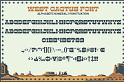West Cactus - Western Display Font, a Slab Serif Font by Marvadesign (Thumbnail 5 of 8)