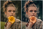 15 FALL LIGHTROOM PRESET OCTOBER, a Preset Add-On by Victoria Bee Presets (Thumbnail 8 of 11)