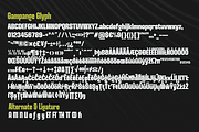Gampange - Modern Sans Family, a Sans Serif Font by Differentialtype (Thumbnail 11 of 11)