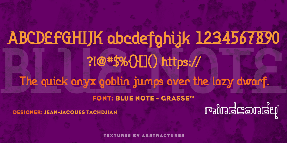 Blue Note™, a Serif Font by MINDCANDY (Photo 3 of 8)
