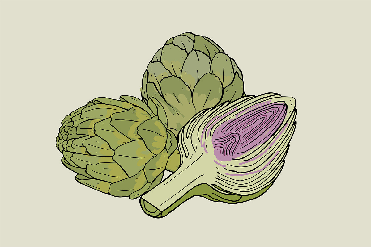 Artichoke, hand drawn set, patterns, a Decorative Illustration by Good Studio (Photo 7 of 8)
