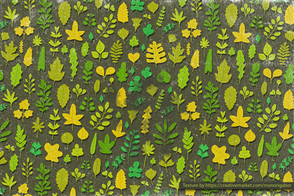 Vector leaves. Nature elements., an Illustration by kostolom3ooo (Photo 4 of 5)