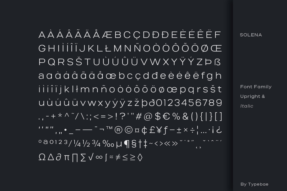 Salena – Minimalist Sans, a Sans Serif Font by Typebae (Photo 12 of 12)