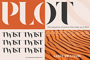 Redland, a Serif Font by FactoryType Studio (Thumbnail 8 of 10)