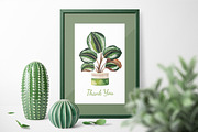 Watercolor Potted Plants, an Object Graphic by Kate_Rina (Thumbnail 4 of 4)