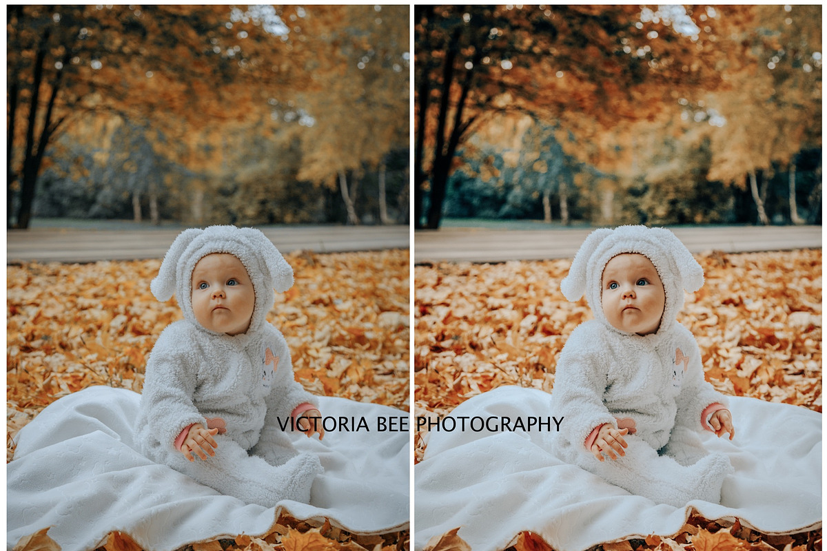 FALL LIGHTROOM PRESETS BRIGHT AUTUMN, a Preset Add-On by Victoria Bee Presets (Photo 6 of 9)