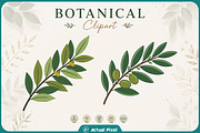 Boho Botanical Leaves Clipart Bundle, a Nature Photo by Actual Pixel (Thumbnail 19 of 21)