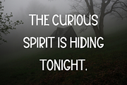 Nights, a Serif Font by FreshTypeINK (Thumbnail 6 of 8)