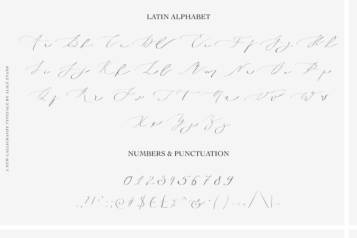 Aileen Miln Calligraphy typeface, a Script Font by Alice_Evans (Photo 8 of 12)