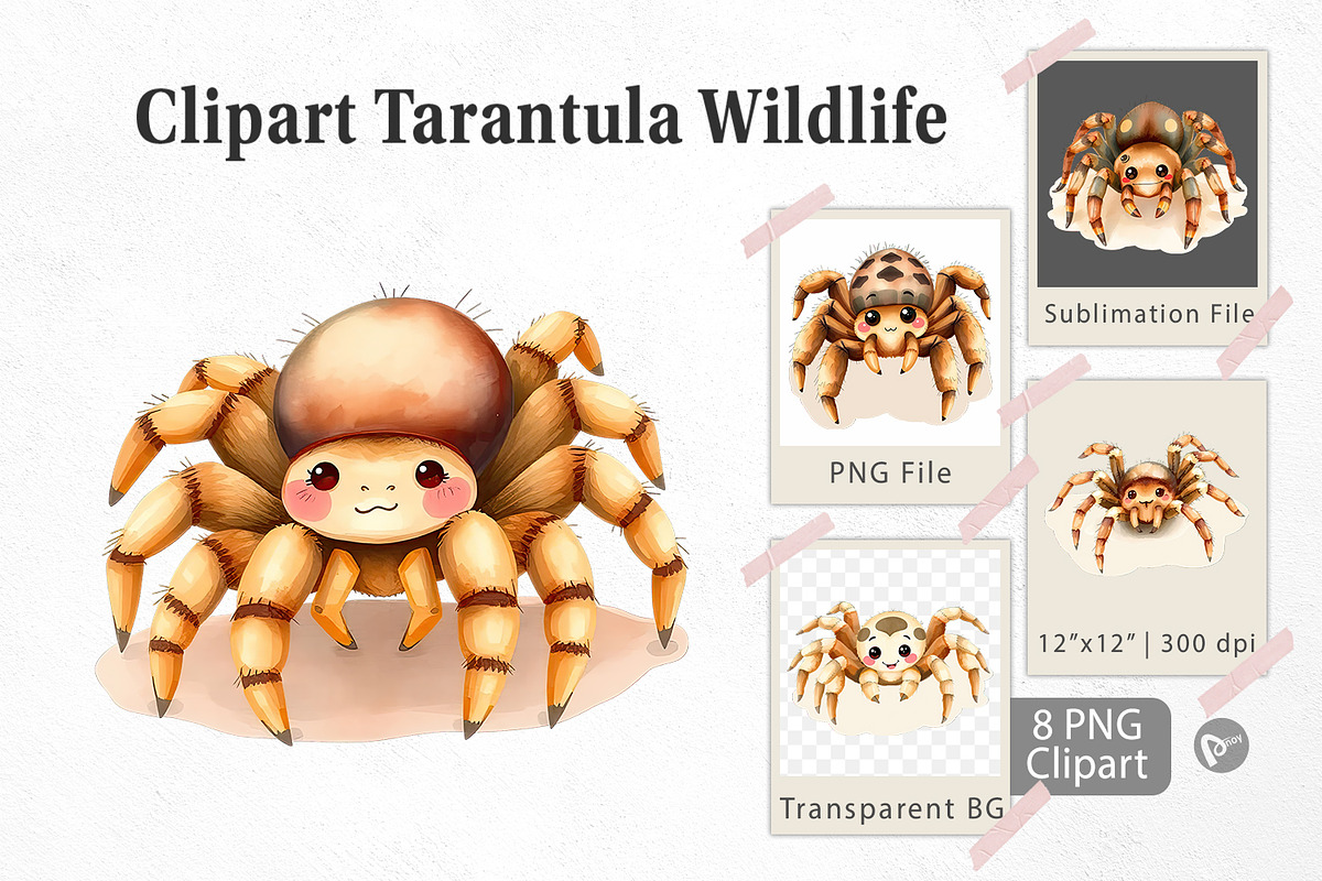 Watercolor Clipart Tarantula Wildlif, a Graphic by Artnoy (Photo 1 of 5)