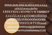 Besteza Modern Serif Display, a Font by timelesstype.co (Thumbnail 17 of 19)