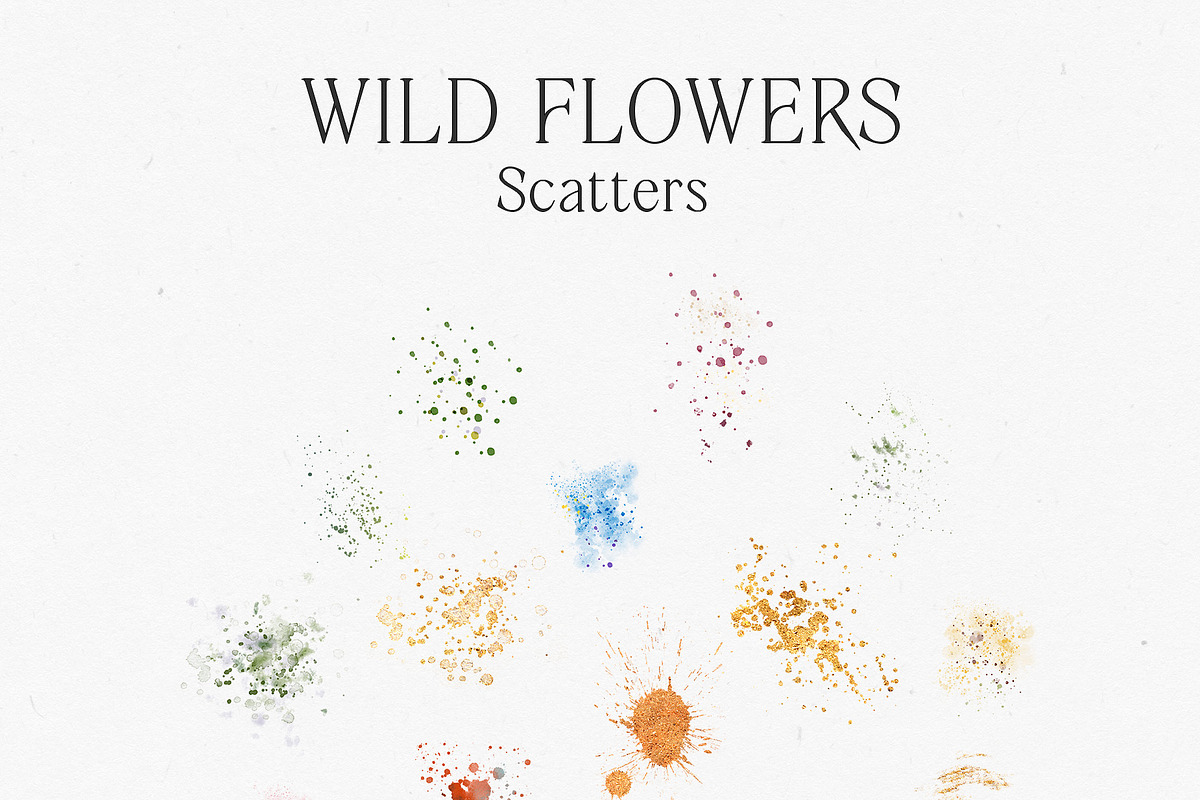 Watercolor Wildflowers & Leaves, a Decorative Illustration by Damian Roh (Photo 22 of 24)