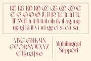 Lermith - Tall Luxury Serif Font, a Serif Font by timelesstype.co (Thumbnail 19 of 20)
