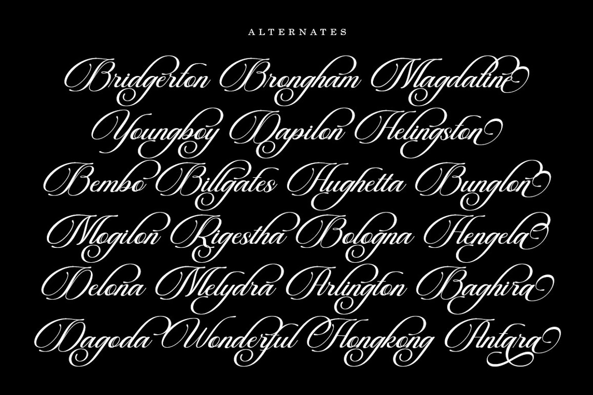 Beautiful Heliography Script, a Script Font by Has_rizal (Photo 7 of 12)